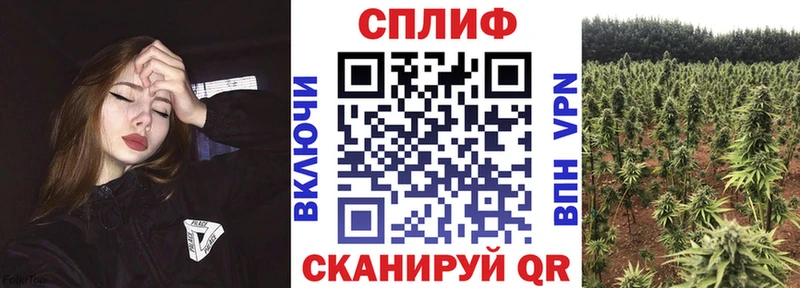 Бошки Шишки марихуана Алзамай